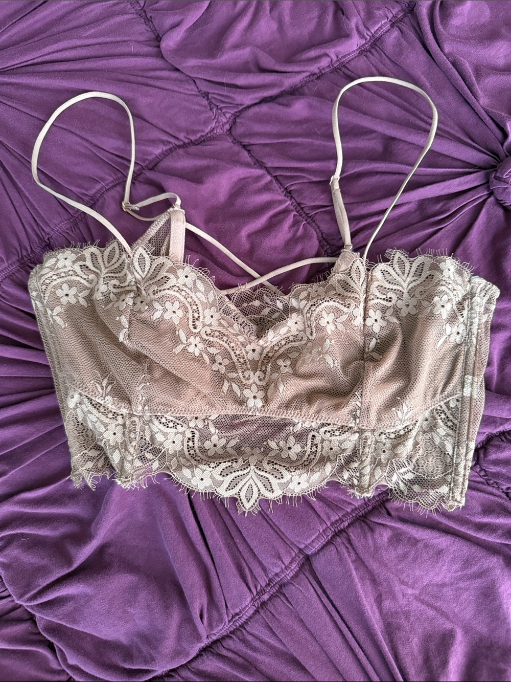 Free People Lace Bandeau Bralette in Taupe and Cream